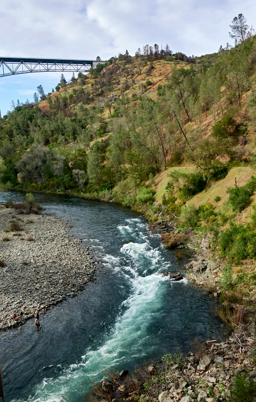 Exploring Riverside: Natural Wonders & Conservation Efforts for Eco-Friendly Recreation